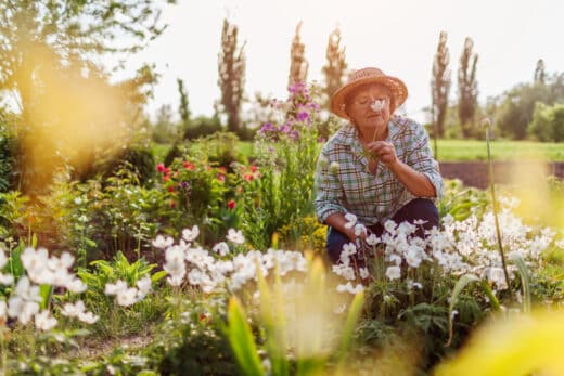 low maintenance gardening